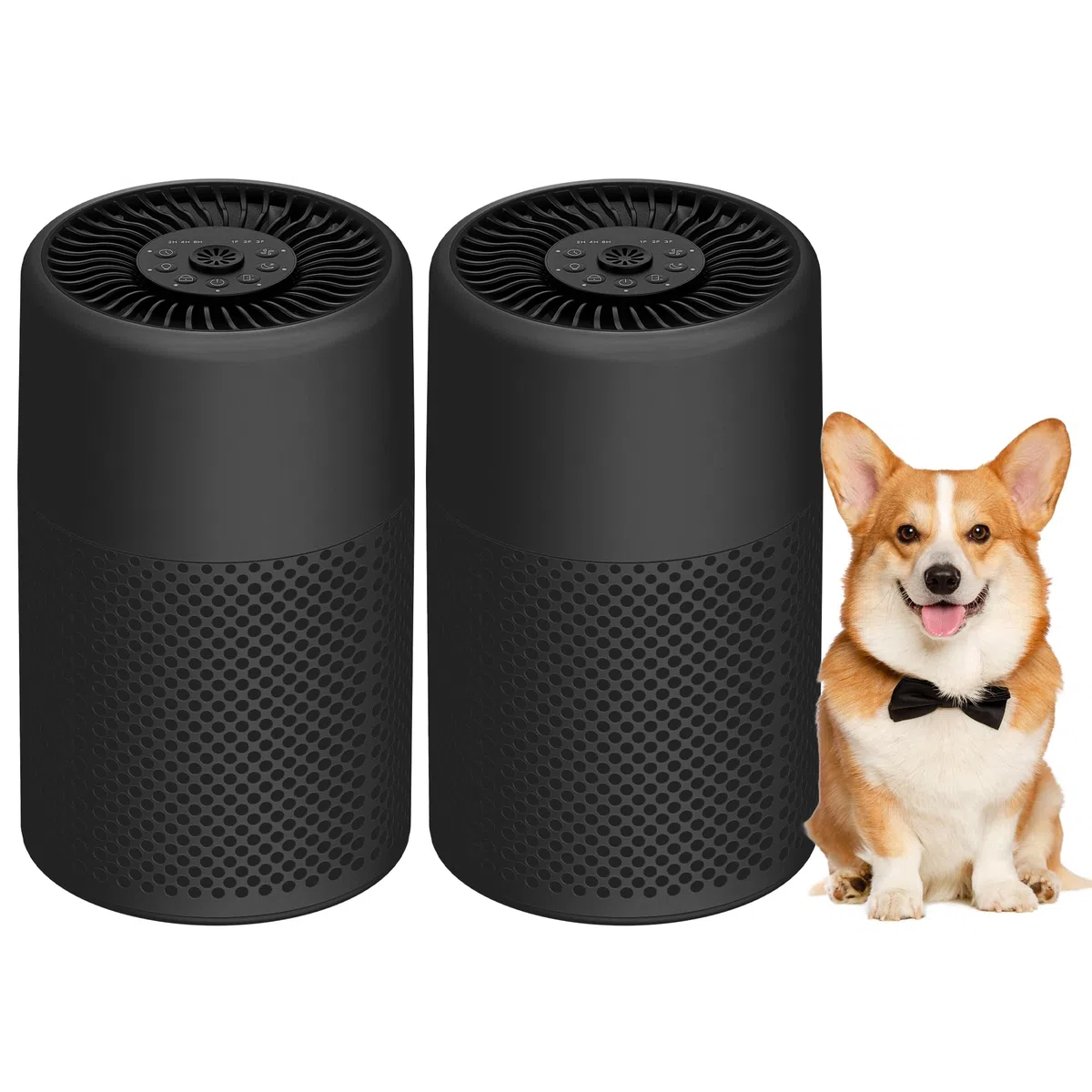 Lot de 2 purificateurs d'air pour chambre à coucher, maison, véritable filtre HEPA pour poussière, fumée, squames d'animaux, petit purificateur d'air avec mode veille pour chambre à coucher, bureau